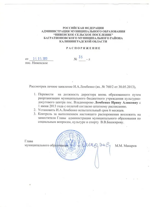 приказ на директора.jpeg